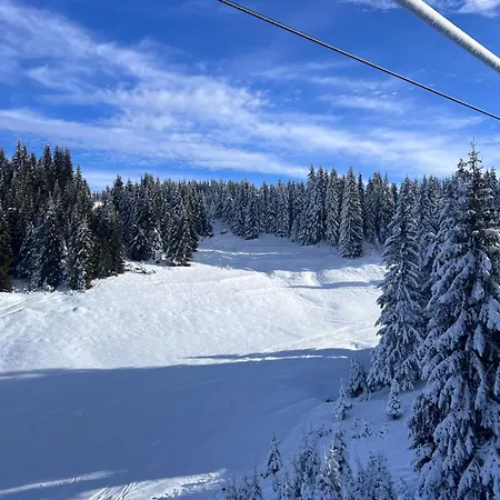 Βίλα четири сезона 12 Stoykite