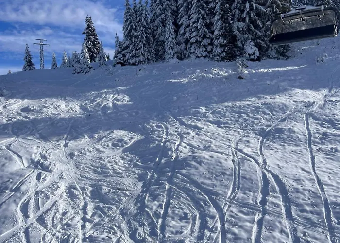 Villa четири сезона 12 *